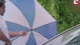 Traffic Signal Web Series 18